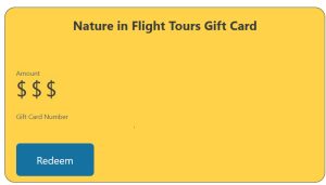 Yellow gift card example